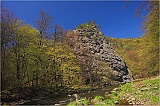 120