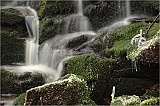 217